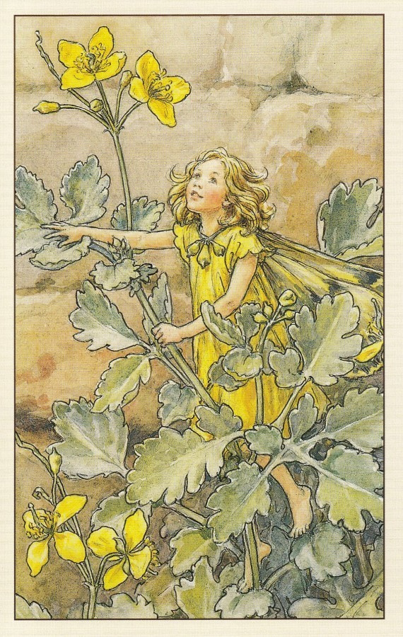 Cicely Mary Barker: Kukkakeijut keltamo