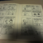 Charles M. Schulz / Ressu eduskuntaan - pikkukuva 3