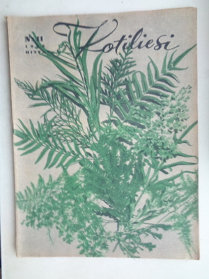 Kotiliesi Nro 11/1945 (5.5)