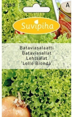 Bataviasalaatti "LOLLO BIONDA" siemenet #