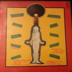 NINA HAGEN / ANGSTLOS - LP - pikkukuva 2