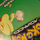 Pokémon Advanced Matkalle näytöstyyliin DVD - pikkukuva 3
