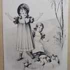 Pikkuleidit ja juuri kuoriutuneita tipuja, p. 1905 - pikkukuva 1
