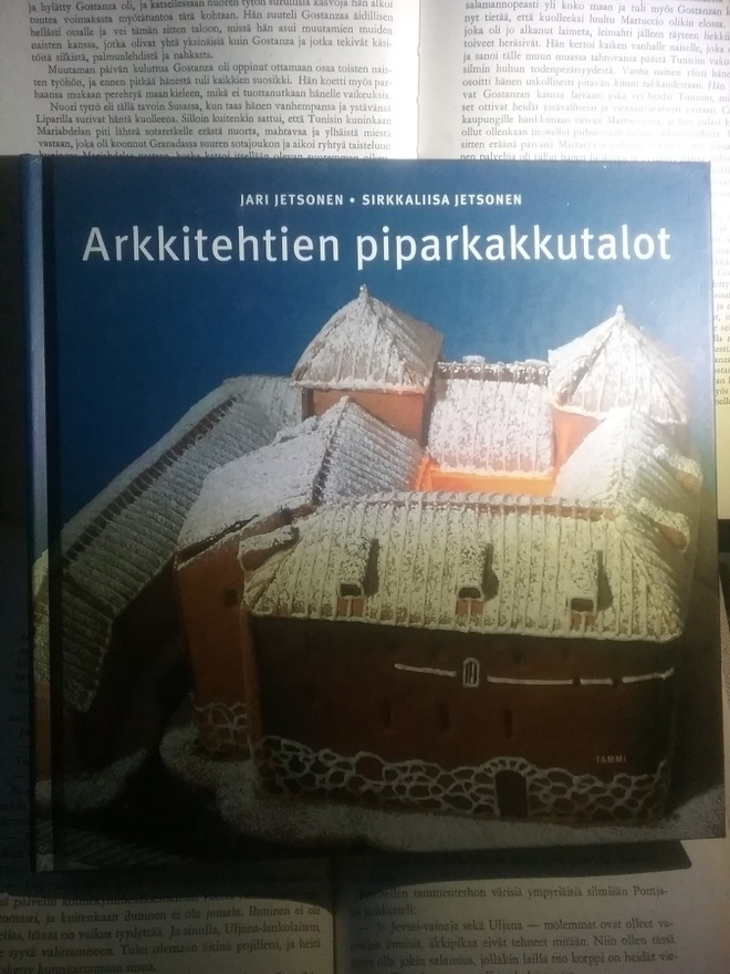 Jari Jetsonen - Arkkitehtien piparkakkutalot (sid.)