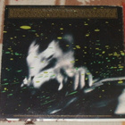 DOUGLAS JAMES KERSHAW ~ s/t ~ LP - pikkukuva 2