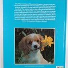 Wendy Boorer : All colour book of dogs - pikkukuva 2