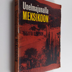 Briitta Simpson : Unelmajunalla Meksikoon - pikkukuva 1
