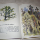Ušinski - Ustinov Lapsille Kertomuksia ja satuja - pikkukuva 5