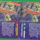 Pokémon 2001 Topps Sudowoodo Norm ja Foil - pikkukuva 2
