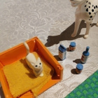 LEGO SCALA 3110 FOUR ANIMAL FRIENDS - pikkukuva 3