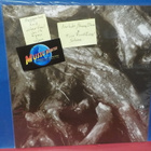 NORDLICHT / PAYSAGE D'HIVER UUSI SPLIT 12'' MAXI-SINGLE - pikkukuva 1