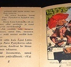 Hipsuvarvas-sarja 4 : Lassi Lättäjalan seikkailut (1942) - pikkukuva 3
