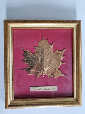 Kullattu "Canadian Maple Leaf"