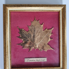 Kullattu "Canadian Maple Leaf" - pikkukuva 1