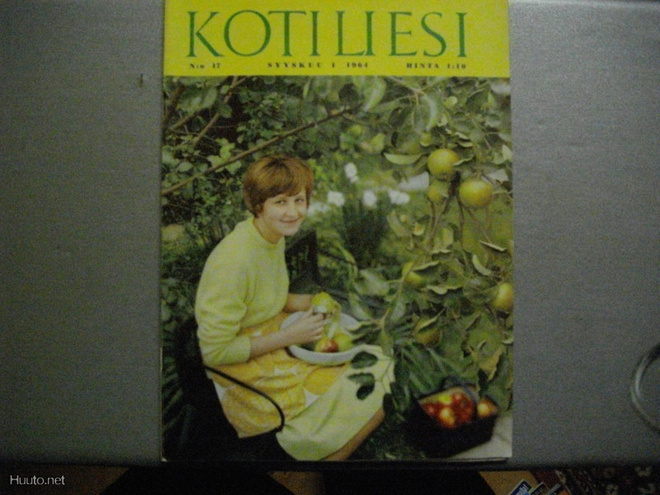 Kotiliesi Nro 17/1964 (10.11)