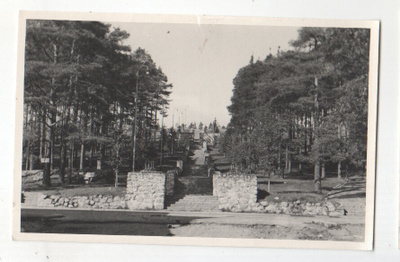 Jyväskylä harjun portaat (4)