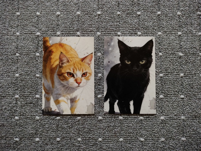~Kissa kortti~ 2kpl