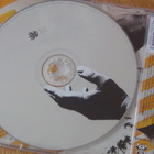 Die Toten Hosen Ich bin die sehnsucht in dir cdep saksa 2004 - pikkukuva 2