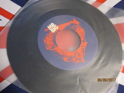Mr. Big: Just Take My Heart 7"