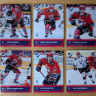 2025-26 Blueline Series 2 HIFK Team Set 12 korttia (193-204) - pikkukuva 2