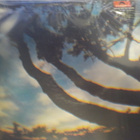 ERIC FOREST - RARE BIRD EX+/EX- LP - pikkukuva 2