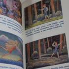 Roine / Koivu - Sadepisaroiden seikkailut - pikkukuva 2