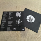 HAIL - Bestial Storms Of The Abyssic Pit 10" - pikkukuva 2