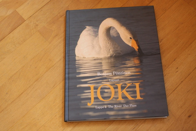 Benjam Pöntinen Lapuan joki Y1