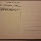 Kuopio: Wäinölänniemi *** (388) - pikkukuva 2