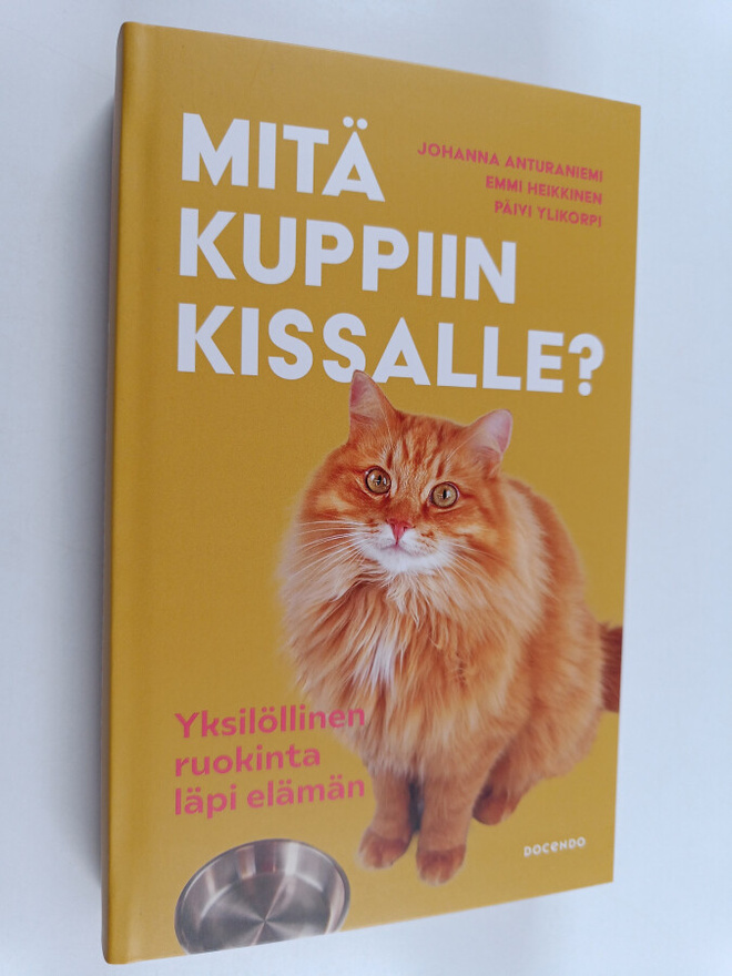Päivi Ylikorpi ym. : Mitä kuppiin kissalle?