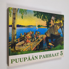 Fogeli ym. : Puupään parhaat 5 : sarjakuvia - pikkukuva 1
