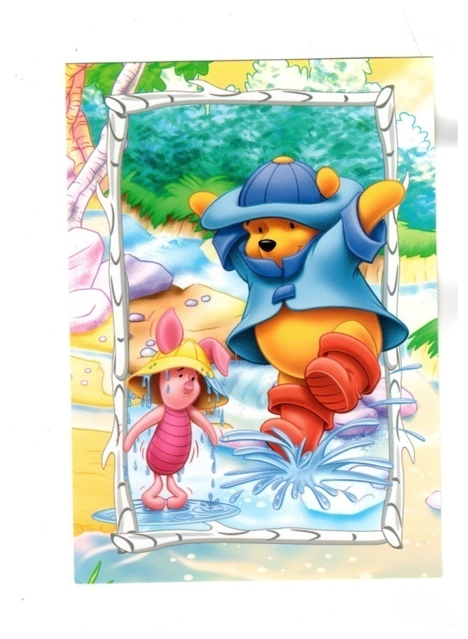 °°NALLE PUH & NASU...VESILÄTÄKKÖ°° -KORTTI /Disney