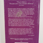 Alice Walker : Häivähdys purppuraa - pikkukuva 2
