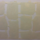 MLP 1559 - Uskonnollinen kiiltokuva-arkki - pikkukuva 2