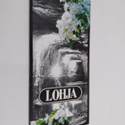 Lohja - pikkukuva 1