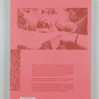 Laura Gustafsson : Bud book : Manual for earthly living - pikkukuva 2