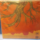 KYLESA - TIME WILL FUSE ITS WORTH M-/M- LP - pikkukuva 2
