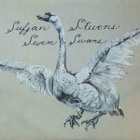 Sufjan Stevens – Seven Swans, color marble vinyl - pikkukuva 1