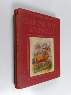 Arthur O. Cooke : Our british animals