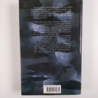 Nadine Gordimer : Poikani tarina - pikkukuva 2