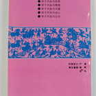 Tan Ming Shan : Sun Zi Bing Fa Yu Chu Shi - pikkukuva 2