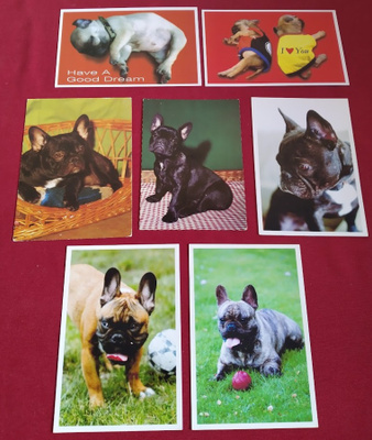 7 BULLDOG POSTIKORTTIA
