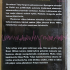 Tess Gerritsen Elämän lähde - pikkukuva 2