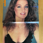 Heather Locklear julisteet Sammy Jo Dynastia - pikkukuva 2