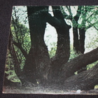 Fat Mattress - S/T LP 1969 - pikkukuva 4