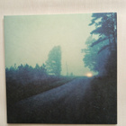 Jenks Miller, James Toth – Roads To Ruin >>[LP] - pikkukuva 1