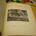 Carl G. Laurin: Sverige genom konstnärsögon - pikkukuva 2
