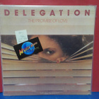 DELEGATION - THE PROMISE OF LOVE EX-/VG+ U.S -77 PRESS LP - pikkukuva 1