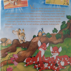 VUK - TARINA PIENESTÄ KETTUPOJASTA DVD SUOMIPUHE - pikkukuva 2