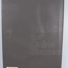 Guidelines for online success - pikkukuva 2